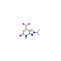 吡啶_酮(C10H11F2N3O),CAS 1018126-31-2,「Fluorochem」D135646632-1g