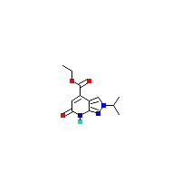 二氢-羧酸乙酯(C12H15N3O3),CAS 1018166-73-8,「Fluorochem」E135646662-5g