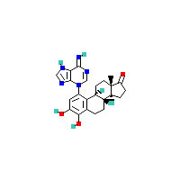 4-羟基Extrone 1-N3-腺嘌呤,CAS 488841-24-3,「源叶」H136697414-5mg