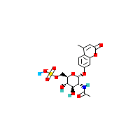 乙酰胺_另见制备(C18H20NNaO11S),CAS 153484-08-3报价,「源叶」M145708116-2mg