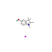 5-羟基-1,2,3,3-四甲基-3H-吲哚-1-碘,CAS 59223-23-3,「毕得」H14766370-250mg