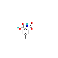氨基_羧酸(C13H21NO4),CAS 289914-86-9,「Fluorochem」B15407189-5g
