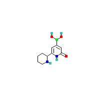 羟基_硼酸(C10H15BN2O3),CAS 2256708-73-1,「麦克林」H155906039-25mg