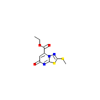 甲硫基-羧酸乙酯(C9H9N3O3S2),CAS 924858-71-9,「Fluorochem」E16765274-2g