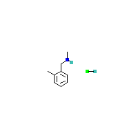 N-甲基-1-（2-甲基苯基）甲胺盐酸盐,CAS 1071580-83-0,「Fluorochem」N17293880-1g
