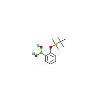叔丁基二甲基甲硅烷基_硼酸制备(C12H21BO3Si),CAS 929277-63-4报价,「源叶」T17797833-100mg