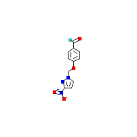 硝基_苯甲醛(C11H9N3O4),CAS 1006953-42-9,「Fluorochem」N19618585-5g