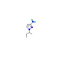 1-（丁烷-2-基）-1H-吡唑-3-胺,CAS 1006481-33-9,「Fluorochem」B19619838-5g