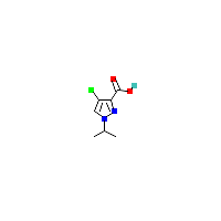 4-氯-1-异丙基-1H-吡唑-3-羧酸,CAS 1006493-69-1,「Fluorochem」C19619889-1g