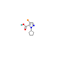 4-溴-1-环戊基-1H-吡唑-5-羧酸,CAS 1006494-04-7,「Fluorochem」B19619910-250mg