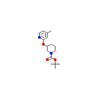 甲基-羧酸叔丁酯(C16H24N2O3),CAS 954228-61-6,「Fluorochem」M24902480-500mg