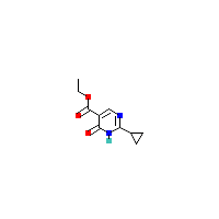环丙基-羧酸乙酯(C10H12N2O3),CAS 1044770-39-9,「Fluorochem」E24903910-1g