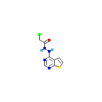 嘧啶-基乙酰肼(C8H7ClN4OS),CAS 680211-00-1,「Fluorochem」N2777672-1g