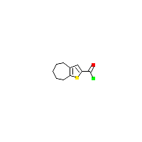噻吩_酰氯(C10H11ClOS),CAS 1042793-22-5,「Fluorochem」T28776564-10g