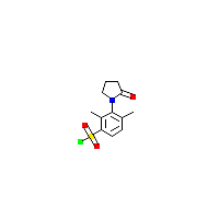 氧代吡咯烷-苯磺酰氯(C12H14ClNO3S),CAS 331256-61-2,「Fluorochem」D3102042-1g