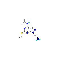 吡唑并_胺制备(C12H20N6S),CAS 1105197-82-7报价,「Fluorochem」A33677553-2.5g