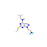 嘧啶_胺制备(C13H22N6S),嘧啶_胺(CAS 1105197-87-2)报价,「Fluorochem」A33677558-2.5g