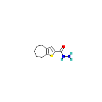 四氢_酰肼(C10H14N2OS),CAS 588696-80-4,「Fluorochem」T3470425-10g