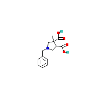 1-苄基-3-甲基吡咯烷-3,4-二羧酸,CAS 885956-64-9,「Fluorochem」B3660448-1g