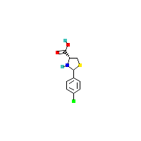 氯苯基_羧酸(C10H10ClNO2S),CAS 198991-78-5,「Fluorochem」R390356-5g