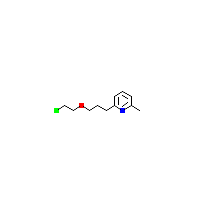 甲基_吡啶(C11H16ClNO),CAS 331717-49-8,「Fluorochem」C40787588-1g