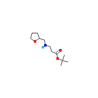 3-[（氧代-2-乙基）氨基]丙酸叔丁酯,CAS 1049155-73-8,「Fluorochem」T42656862-10g