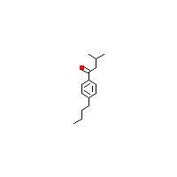 1-（4-丁基苯基）-3-甲基丁-1-酮,CAS 1094374-30-7,「Fluorochem」B43160107-1g