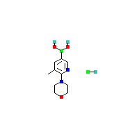 5-甲基-6-吗啉吡啶-3-基硼酸盐酸盐,CAS 1231955-78-4,「Fluorochem」M43819154-1g