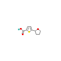 5-（四氢呋喃-2-Yl）噻吩-2-羧酸,CAS 959237-71-9,「Fluorochem」T45791088-1g
