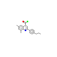 喹啉_羰基氯(C21H20ClNO),CAS 1160255-01-5,「Fluorochem」D46779365-10g