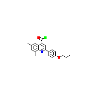 喹啉_羰基氯(C21H20ClNO2),CAS 1160262-91-8,「Fluorochem」D46779383-10g
