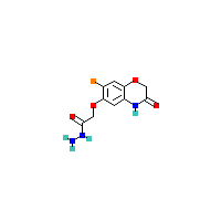 二氢_乙酰肼(C10H10BrN3O4),CAS 1211474-46-2,「Fluorochem」B46786279-5g