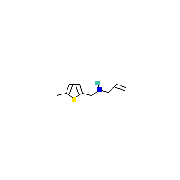 甲基_胺(C9H13NS),CAS 893569-89-6,「Fluorochem」N4717919-5g