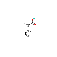 2-甲基-3-苯基-2-环丙烯-1-羧酸,CAS 18826-56-7,「Fluorochem」M5020077-1g