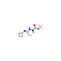N’-[1-环丁基氨基丙基]肼羧酸叔丁酯,CAS 1053657-78-5,「Fluorochem」N50998875-1g