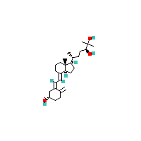 （24S）-24,25-二羟基维生素D3,CAS 55700-58-8,「源叶」S5283749-1mg