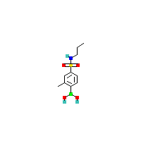 2-甲基-4-（N-丙基磺胺基）苯基硼酸,CAS 1217501-47-7,「Fluorochem」M53216347-1g