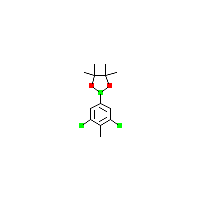 二氯_甲基苯基硼酸频哪醇酯制备(C13H17BCl2O2),CAS 942069-73-0报价,「源叶」D53217164-1g