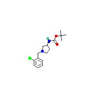 吡咯烷-氨基甲酸叔丁酯(C16H23ClN2O2),CAS 1286208-38-5,「Fluorochem」R53256303-1g
