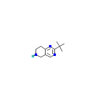 2-叔丁基-5,6,7,8-四氢吡啶[4,3-d]嘧啶,CAS 1211516-37-8,「源叶」T55265758-1g
