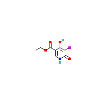 吡啶-羧酸乙酯(C8H8FNO4),CAS 1000340-08-8,「Fluorochem」E57360922-2.5g