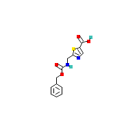 噻唑_羧酸(C13H12N2O4S),CAS 1095823-37-2,「Fluorochem」B57415854-10g
