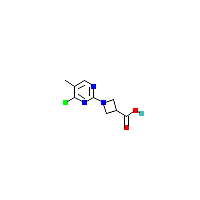 甲基嘧啶-羧酸(C9H10ClN3O2),CAS 1289387-76-3,「Fluorochem」C60136824-500mg