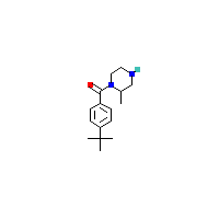 1-（4-叔丁基苯甲酰基）-2-甲基哌嗪,CAS 1240578-12-4,「安耐吉」T62673639-5g