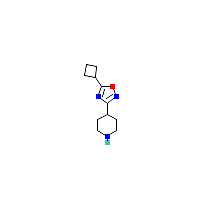 环丁基_哌啶(C11H17N3O),CAS 1341168-05-5,「Fluorochem」C63015220-1g