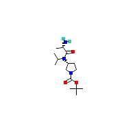 氨基-羧酸叔丁酯(C15H29N3O3),CAS 1401667-50-2,「Fluorochem」R66564121-500mg