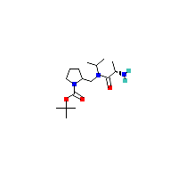 甲基-羧酸叔丁酯(C16H31N3O3),CAS 1354023-64-5,「Fluorochem」S66564123-500mg