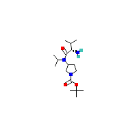 吡咯烷-羧酸叔丁酯(C17H33N3O3),CAS 1354028-87-7,「Fluorochem」S66564192-500mg