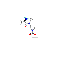 吡咯烷-羧酸叔丁酯(C17H31N3O3),CAS 1354033-09-2,「Fluorochem」S66564206-500mg
