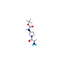 丙酰基-甲基氨基甲酸叔丁酯(C13H25N3O3),CAS 1401669-02-0,「Fluorochem」S66566261-500mg